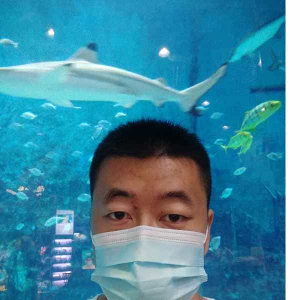 河北34岁单身帅哥真诚找对象-丹东征婚相亲网
